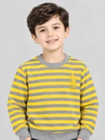 Striped Sweat Shirt (KSS-039)